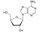 Cordycepin (Cor)