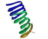 Corneodesmosin (CDSN)