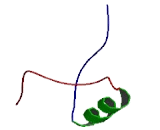 Cornichon Homolog 3 (CNIH3)