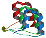 Cortactin Binding Protein 2 (CTTNBP2)