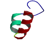 Cortexin 1 (CTXN1)