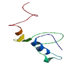 Cortexin 3 (CTXN3)