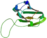 Corticotropin Releasing Hormone Binding Protein (CRHBP)