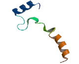 Cortistatin (CORT)