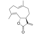 Costunolide (CTN)