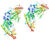 Creatine Kinase MB Isoenzyme (CKMB)