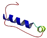 Cripto, FRL1, Cryptic Family 1B (CFC1B)