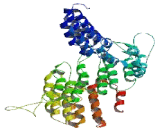 Crooked Neck Pre-mRNA Splicing Factor Like Protein 1 (CRNKL1)