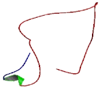 Crumbs Homolog 3 (CRB3)