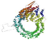 Cullin Associated And Neddylation Dissociated Protein 1 (CAND1)