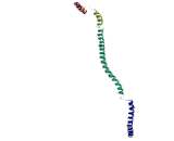 Cutaneous T-Cell Lymphoma Associated Antigen 4 (CTAGE4)