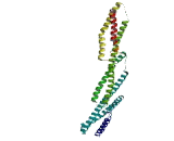 Cutaneous T-Cell Lymphoma Associated Antigen 8 (CTAGE8)