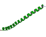 Cyclic AMP Response Element Modulator (CREM)