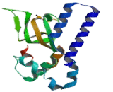 Cyclic Nucleotide Gated Channel Alpha 2 (CNGa2)