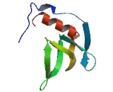 Cyclic Nucleotide Gated Channel Alpha 4 (CNGa4)