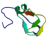 Cyclin B1 Interacting Protein 1 (CCNB1IP1)