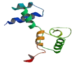 Cyclin D Binding Myb Like Transcription Factor 1 (DMTF1)