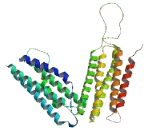 Cyclin D-Type Binding Protein 1 (CCNDBP1)