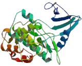 Cyclin Dependent Kinase 16 (CDK16)