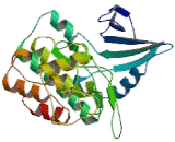 Cyclin Dependent Kinase 17 (CDK17)