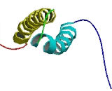 Cyclin Dependent Kinase 2 Associated Protein 1 (CDK2AP1)