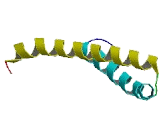 Cyclin Dependent Kinase 2 Associated Protein 2 (CDK2AP2)