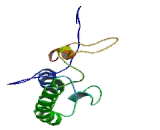 Cyclin Dependent Kinase 2 Interacting Protein (CINP)