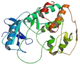 Cyclin Dependent Kinase 20 (CDK20)