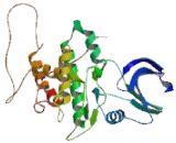 Cyclin Dependent Kinase 3 (CDK3)