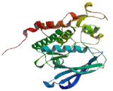 Cyclin Dependent Kinase 6 (CDK6)