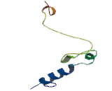 Cyclin Dependent Kinase Inhibitor 1B (CDKN1B)