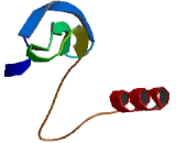 Cyclin Dependent Kinase Like Protein 1 (CDKL1)