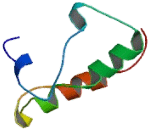 Cyclin Dependent Kinase Like Protein 2 (CDKL2)