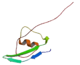 Cyclin Dependent Kinases Regulatory Subunit 2 (CKS2)