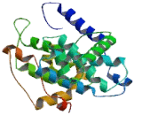 Cyclin E2 (CCNE2)