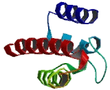 Cyclin G Associated Kinase (GAK)