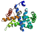 Cyclin L2 (CCNL2)