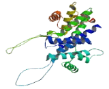 Cyclin N-Terminal Domain Containing Protein 1 (CNTD1)