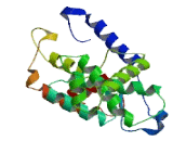 Cyclin Y Like Protein 1 (CCNYL1)