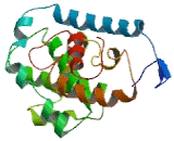 Cyclin Y Like Protein 2 (CCNYL2)