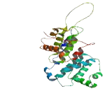 Cyclin Y Like Protein 3 (CCNYL3)