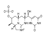 Cylindrospermopsin (CYN)