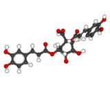 Cynarine (Cyn)