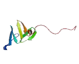 Cysteine And Glycine Rich Protein 1 (CSRP1)