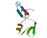 Cysteine And Histidine Rich Domain Containing Protein 1 (CHORDC1)