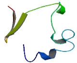 Cysteine Rich C-Terminal Protein 1 (CRCT1)