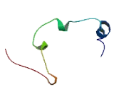 Cysteine Rich Hydrophobic Domain Protein 1 (CHIC1)