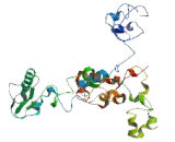 Cysteine Rich PAK1 Inhibitor (CRIPAK)