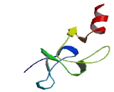 Cysteine Rich Protein 3 (CRIP3)