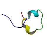 Cysteine Rich Secretory Protein 2 (CRISP2)